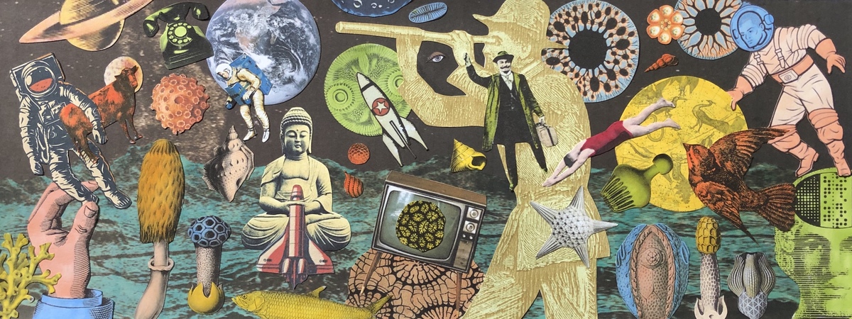 Planet Of Spacely Delights by Shari Wolf