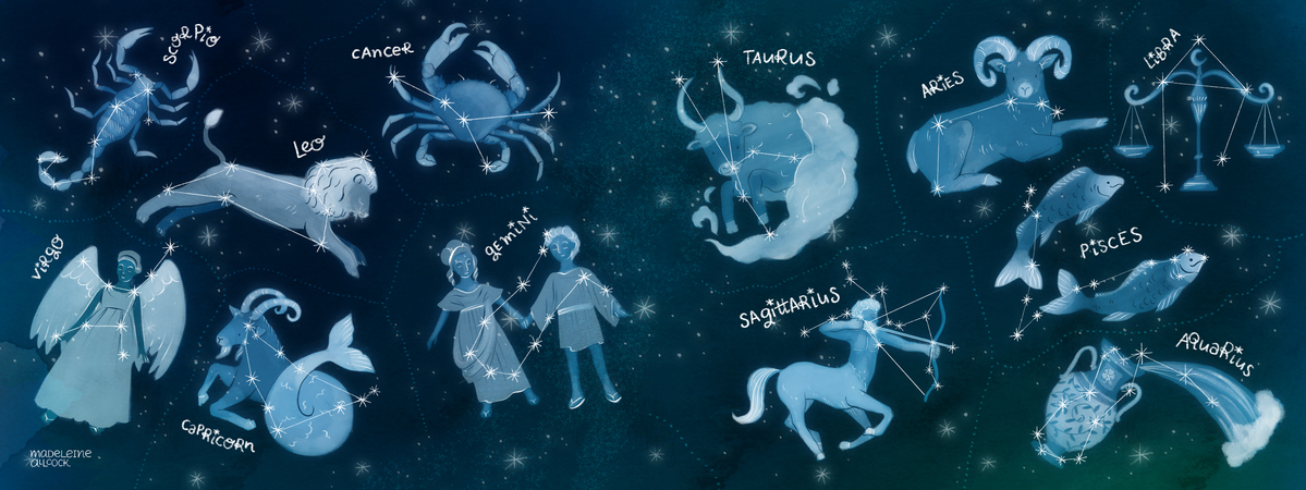 Zodiac Constellations in the Night Sky by Madeleine Allcock
