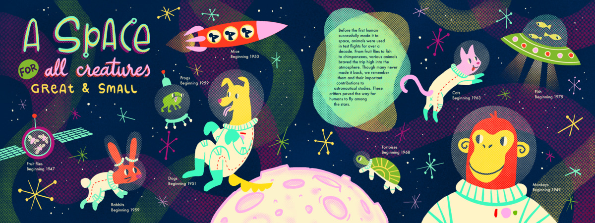 A Space for All Creatures, Great and Small by Erika Grauzinis @erika_illustration