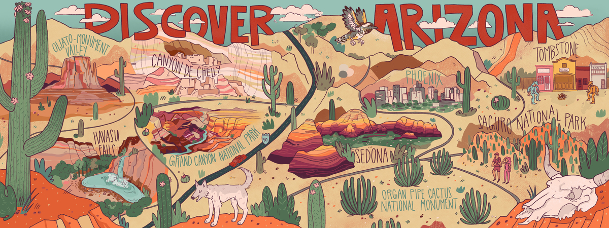 Discover Arizona by Hayleigh Johnson