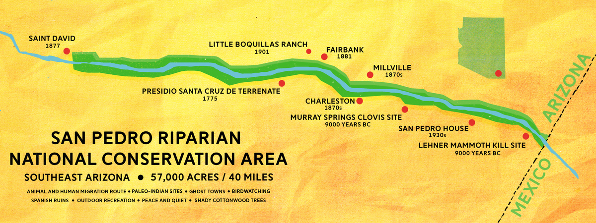 Desert Walk in the San Pedro Riparian National Conservation Area by James Orndorf