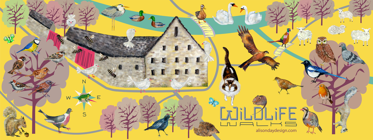 Wildlife Walks in Oxfordshire, UK by Alison Day