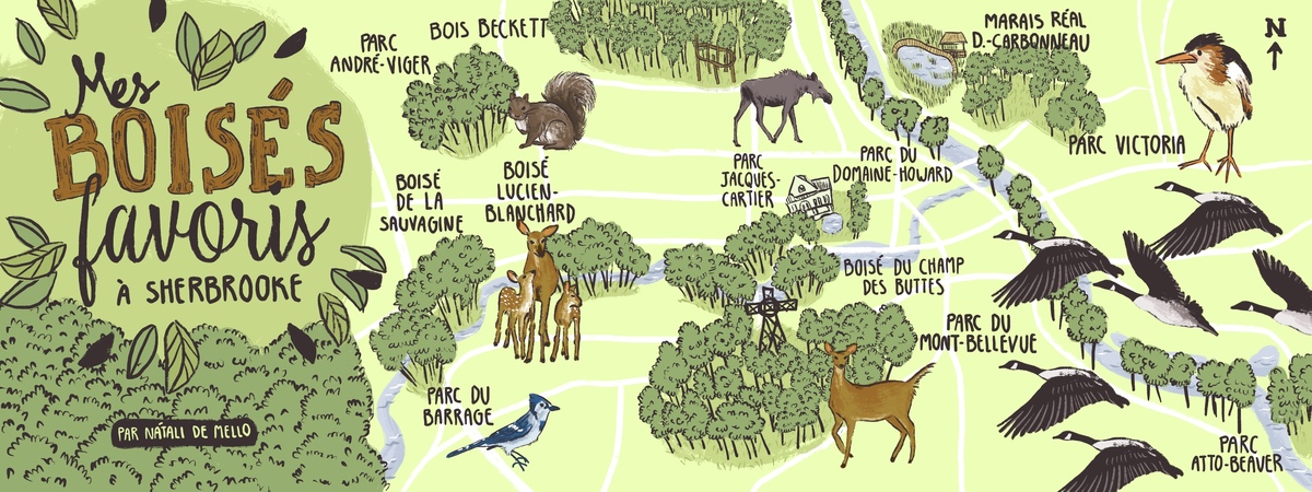 My Favourite Woods in Sherbrooke, Canada by Natali de Mello