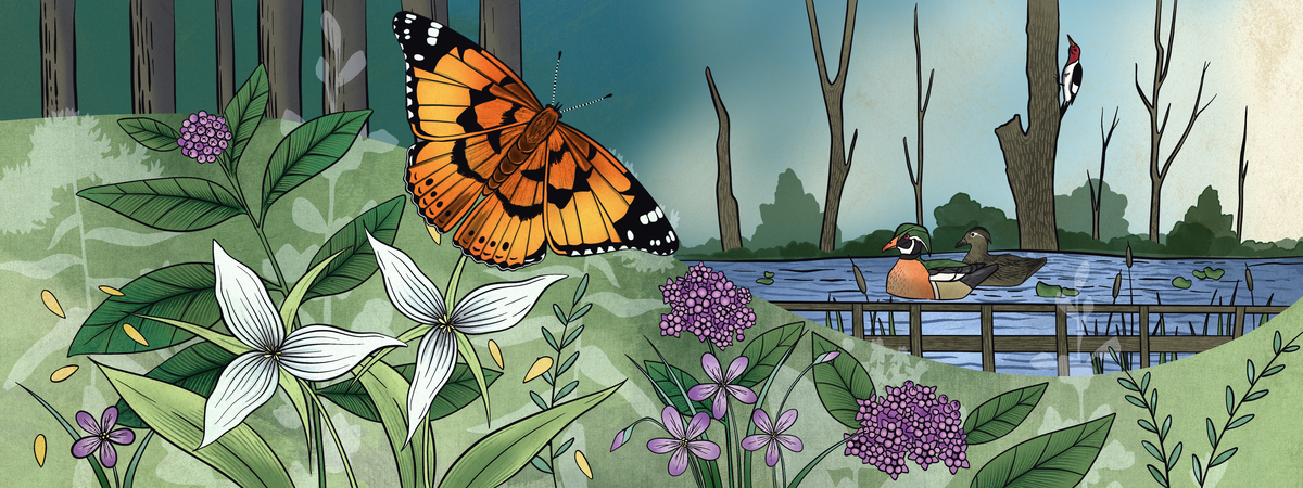 My Happy Walk by Melissa Washburn