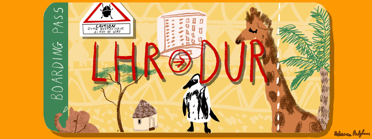 Boarding Pass to Durban by Rebecca Laura