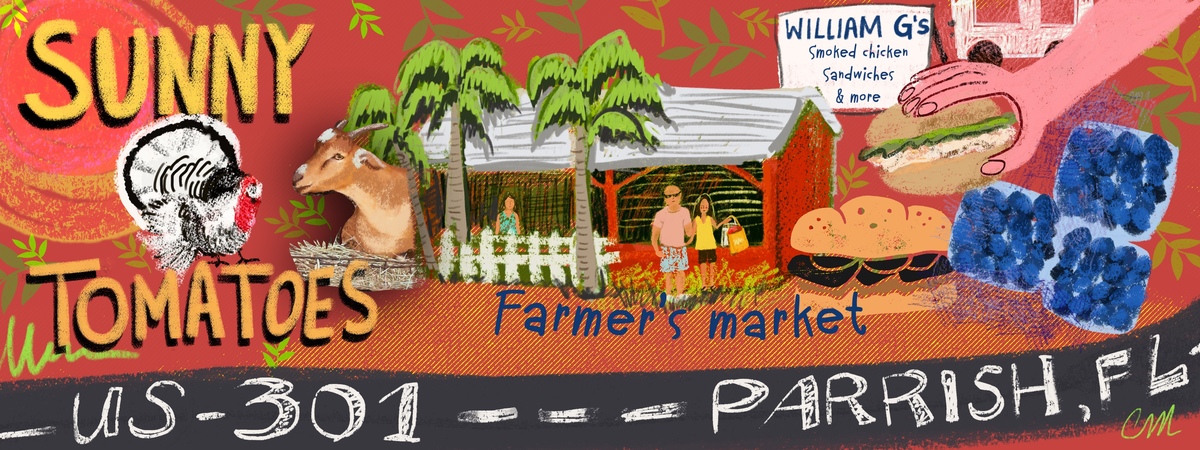Sunny Tomatoes in Florida by Cynthia Maniglia
