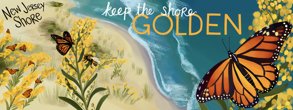 Keep the Shore Golden by Katy Tanis