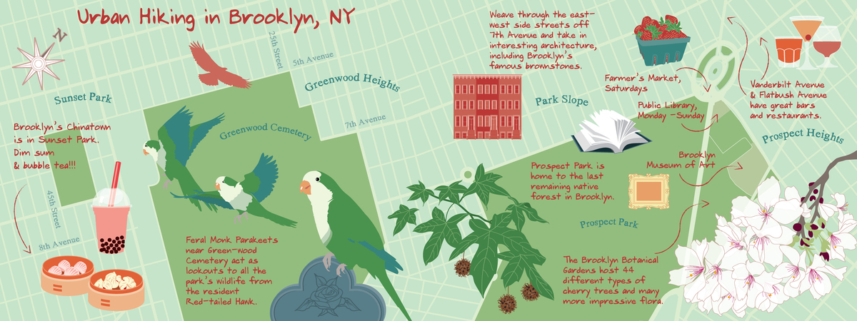 Urban Hiking in Brooklyn, New York by cybèle