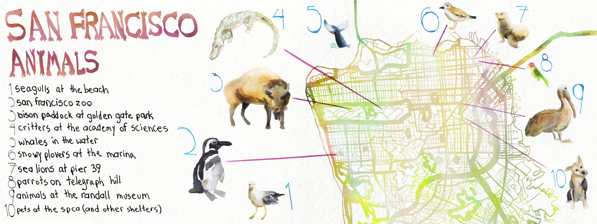 San Francisco Animal Map by Naomi Bardoff