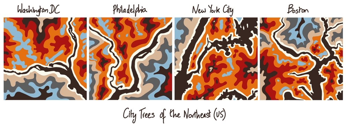 City Trees of the Northeastern US by Bhaval Shah Bell