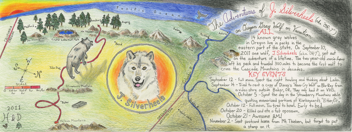 Oregon Wolf by Hannah Rae & Doug Woycechowsky