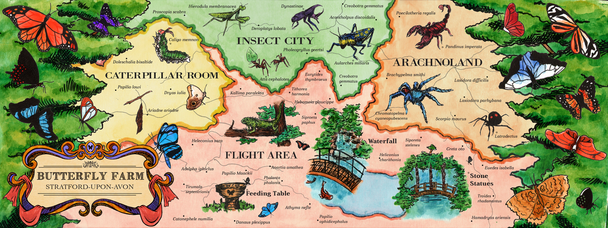 Butterfly Farm in Stratford-upon-Avon, UK by Roshny Patel