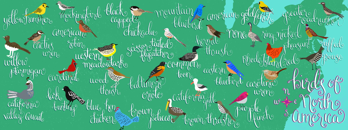 Birds of North America by Joy Laforme