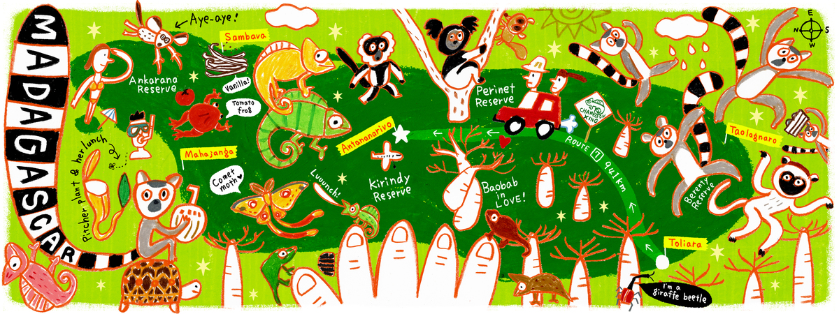 Madagascar by AW Illustrations