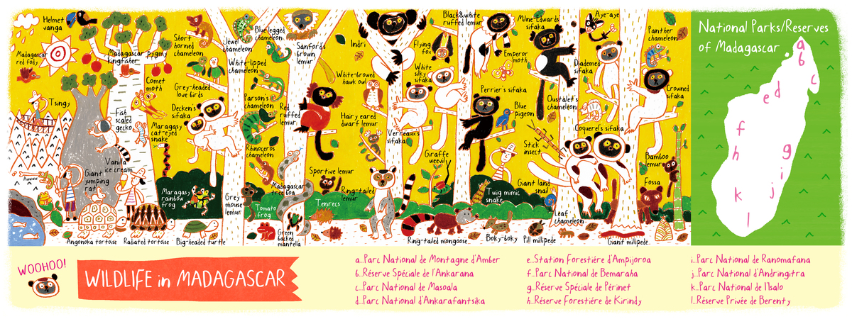 Wildlife of Madagascar by AW Illustrations Madagascarwildlife.jpg