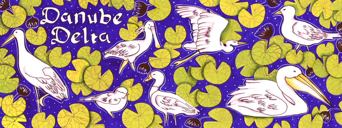 Danube Delta by Ani Mina 1.jpg