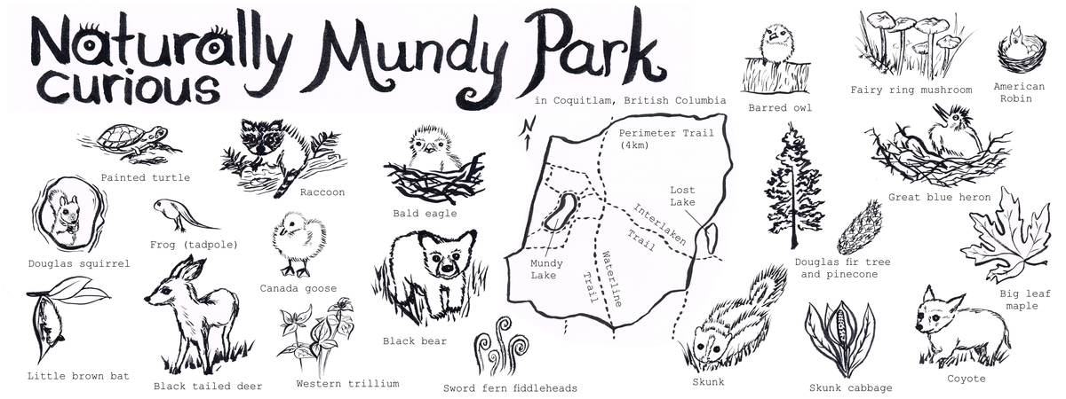 Naturally Curious Mundy Park by Lena Umezawa