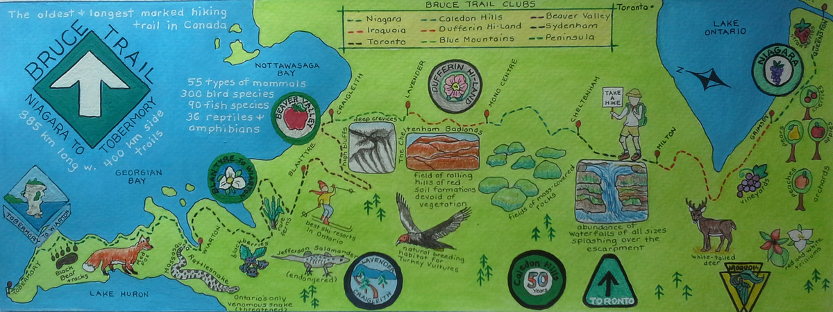 Canada's Bruce Trail: from Niagara to Tobermory by Lily Roo