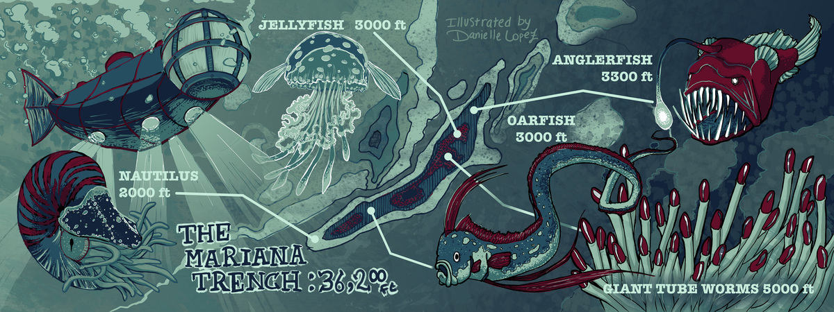 The Mariana Trench by Danielle Lopez