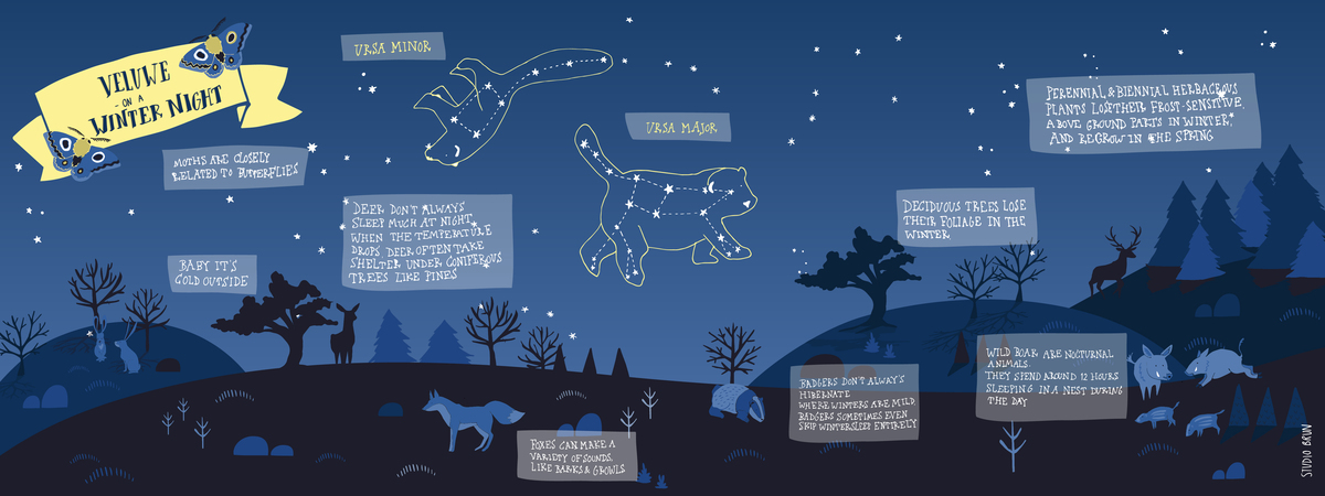 National Park Hoge Veluwe, Netherlands on a Winter Night by Studio Brun Veluwewinternight tdat
