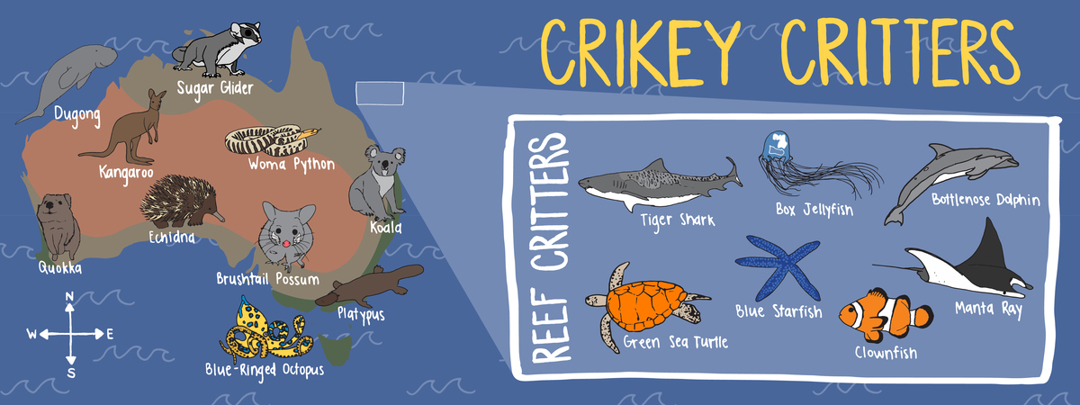 Crikey Critters of Australia by Katie Kucejko Illustrated map final 01
