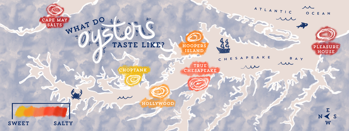 What Do Oysters Taste Like? by Rebecca Smith